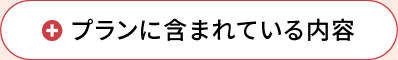 プランに含まれている内容